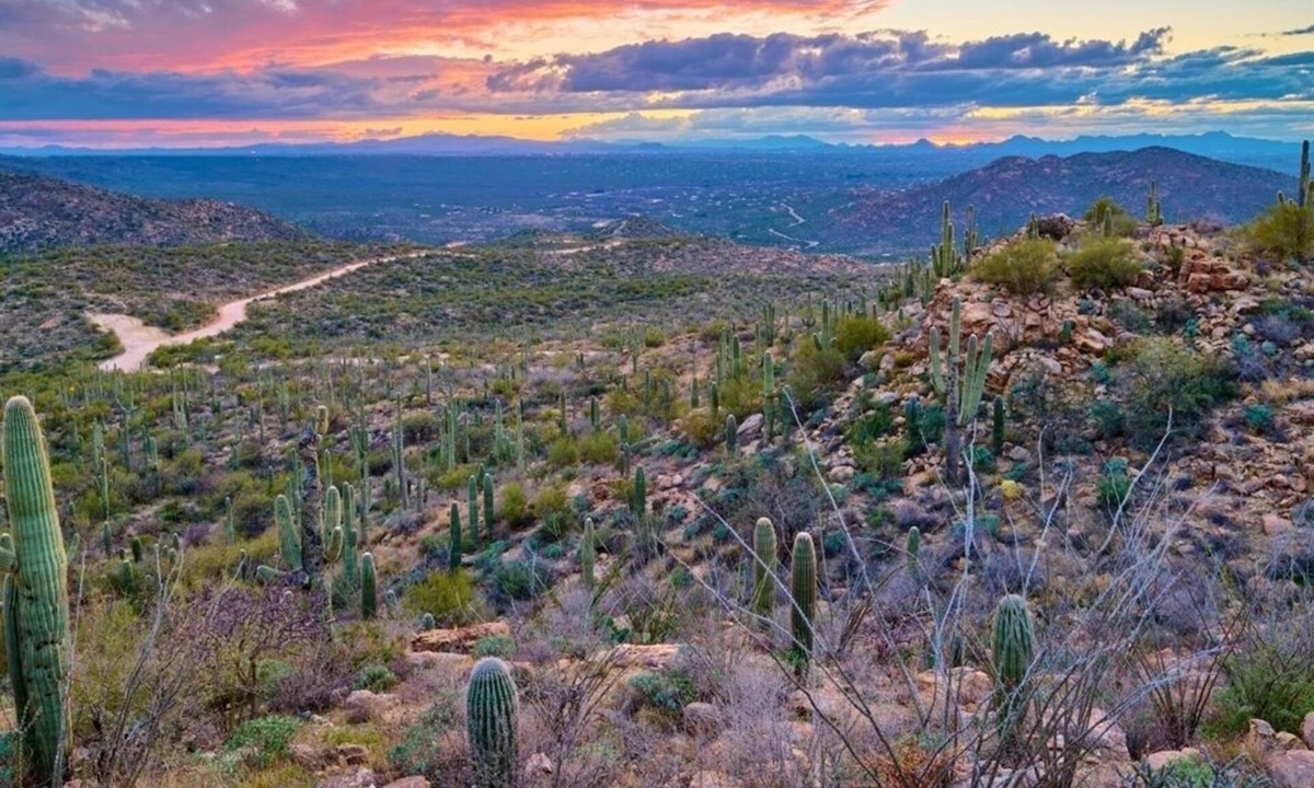 Palo Verde Condo | 1 BDRM CONDO~ Varsity Clubs of America~ SHOPPING, HIKING, BOATING, ATV TRIPS