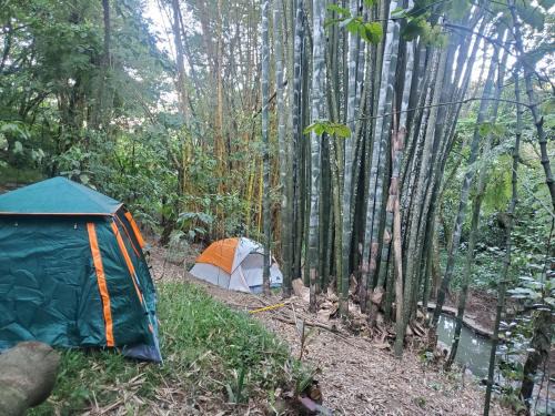 Cuetzalan del Progreso Other | Campamento equipado de bosque