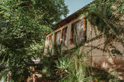 Uruapan Apartment | CASITA TECA jardín de esculturas junto al río