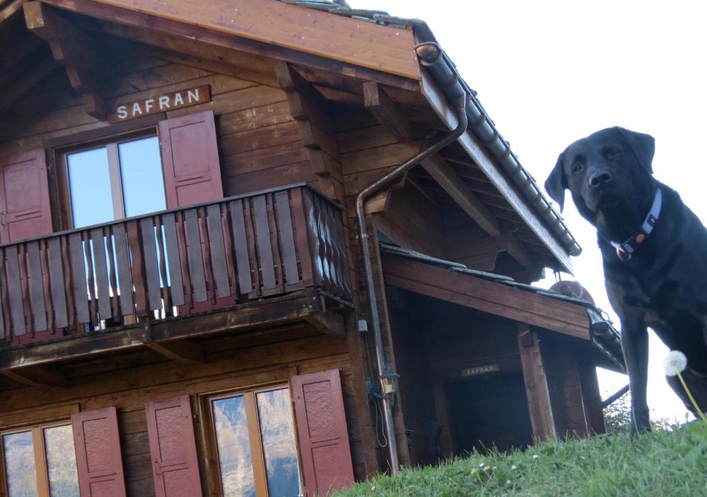 Graechen House | Chalet Safran