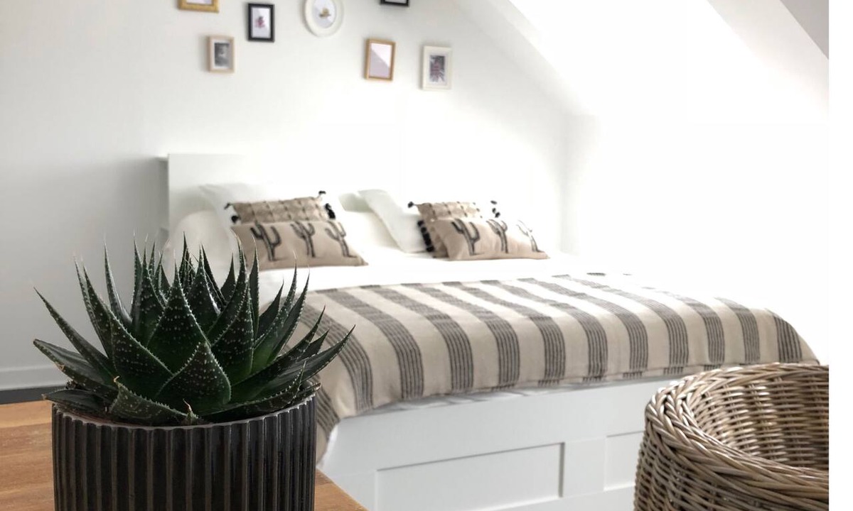 Binic Apartment | Charming Studio Facing the Port and 100 m from the Beach