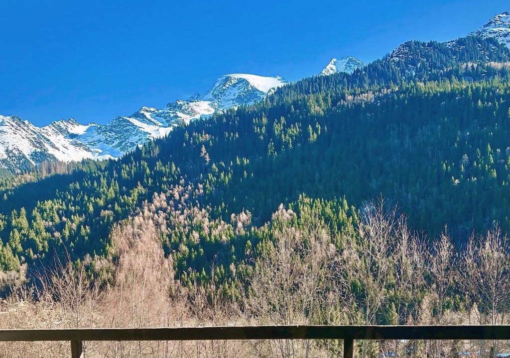 Les Contamines-Montjoie Apartment | Cocon face au Miage - Calme et grand air