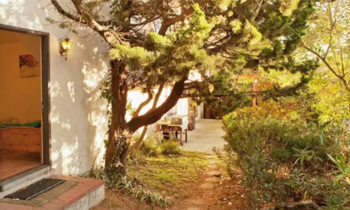 Berkeley Hills Apartment | Cozy Studio in North Berkeley Hills