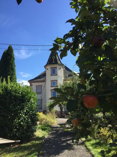 Rothau Apartment | l'âROMEantic