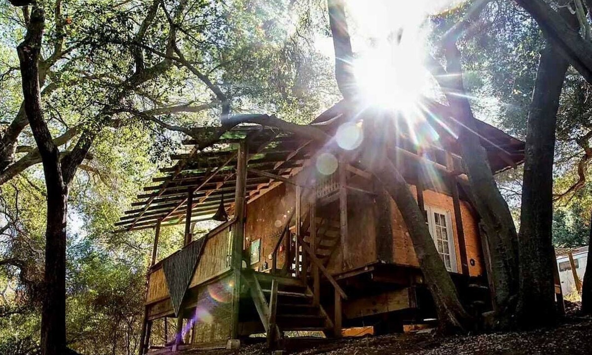 Topanga Cabin | Mountain Retreat Japanese Tea House + Private Creek and Trails