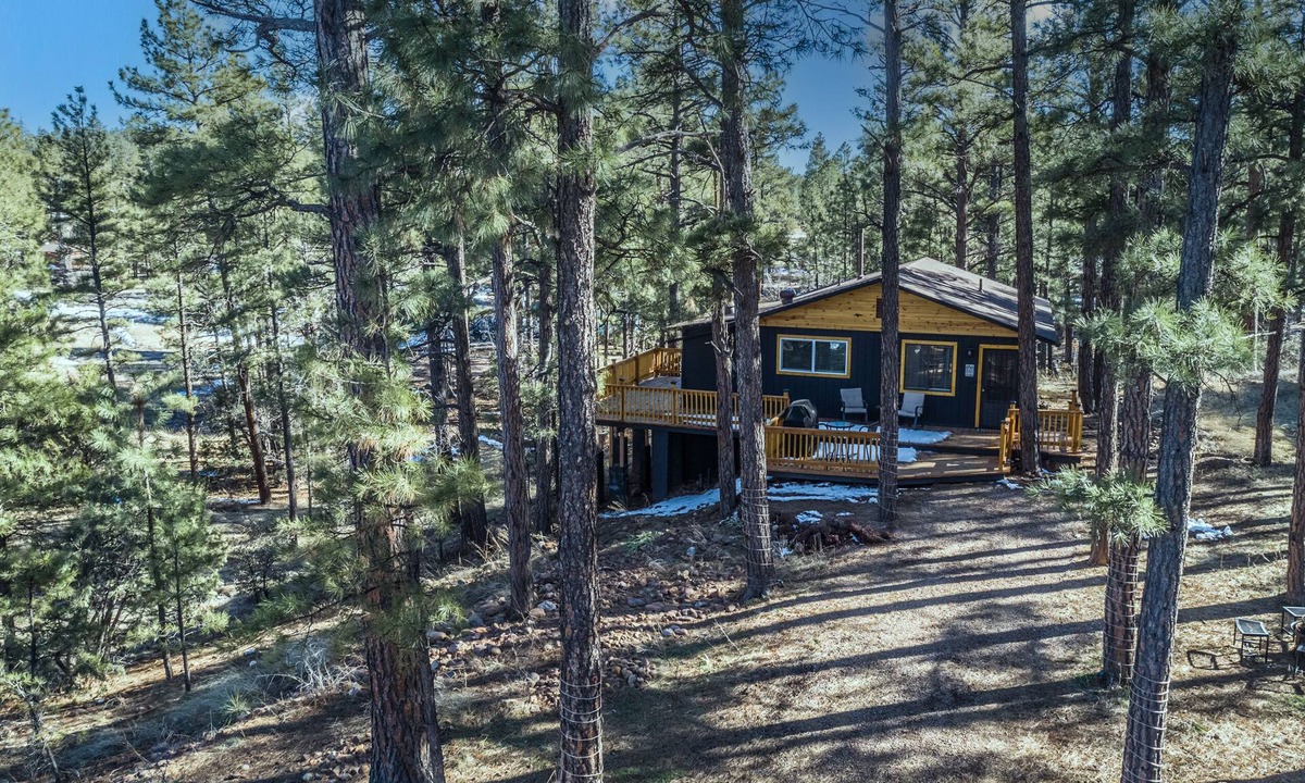 Show Low Cabin | Peaceful Show Low Cabin in the pines! 3 min to the lake!