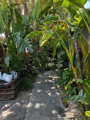 Historic Tennis Club Hotel | Talavera Palm Springs Hotel - 21 & Over