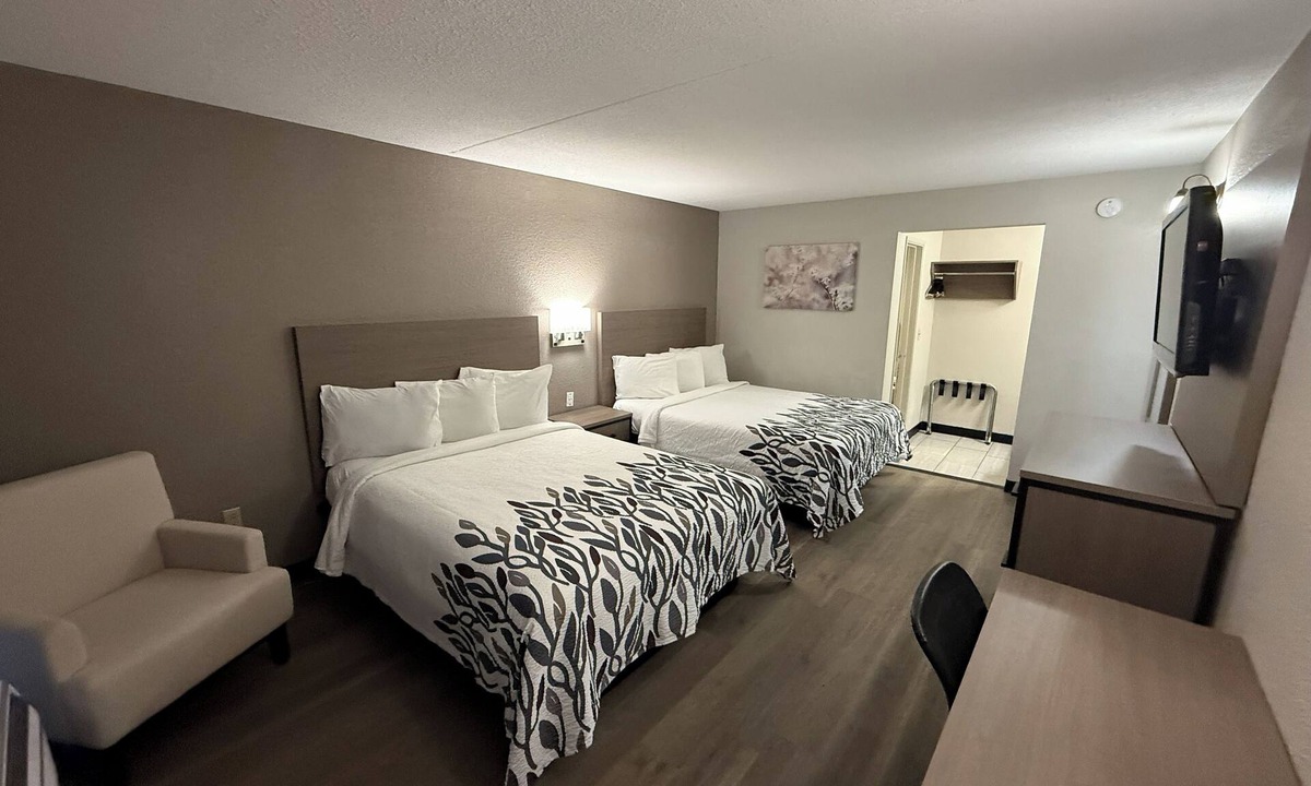 Tucson Hotel | Three Deluxe 2 Queen Rooms—Relaxing, Clean & Perfect for Multi-Room Travel
