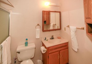 1812 - Mountain Top Grove - Free Ski/Board Rental Home