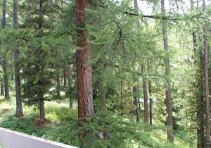 Charming Studio in Vars, 30m from Slopes, Sleeps 4 in Vars