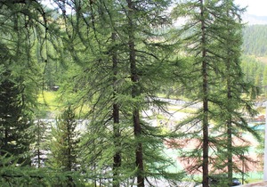 Charming Studio in Vars, 30m from Slopes, Sleeps 4 in Vars