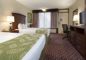 Group Theme Park Adventure! 2 Spacious Units, Free Shuttle, Restaurant, Pool in Orlando