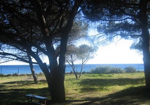 Villa Cavalaire-sur-Mer, 3 pièces, 7 personnes - FR-1-100-201 in Pardigon