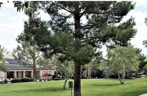 Silverado Ranch Apartment | 20% OFF THIS Cozy Comfy Condo in Vibrant Las Vegas!