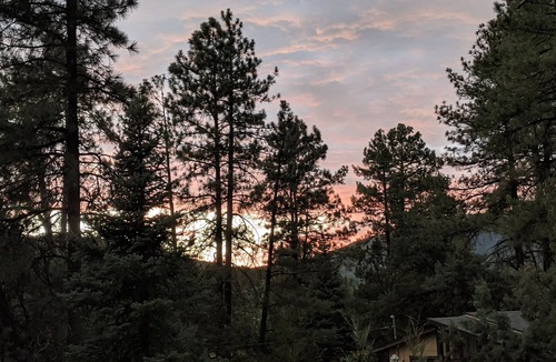 Pine Cabin | 3 Bdrm Pet Friendly Cabin, King Bed, AC, Walking distance to Pine attractions 🌲