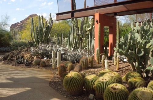 South Scottsdale Resort | 3 Spacious Units, 5 Pools, On-Site Dining, Minutes to Phoenix Zoo, OdySea