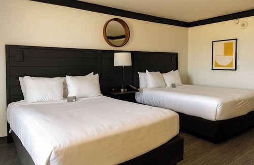 Las Vegas Hotel | Affordable Stay! Premium Pool View Two Queen | OYO Las Vegas
