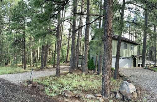 Munds Park Apartment | Bear Treeloft - An ADU in the cool pines & walking distance to fun!