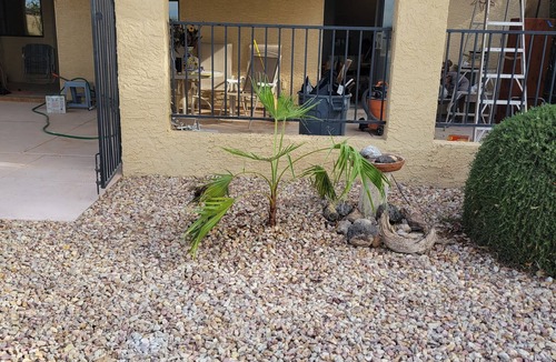 Eleven Mile Corner Condo | Beautiful 2-bedroom 2bath Remodeled Condo 1st fairway in Casa Grande 29-day min