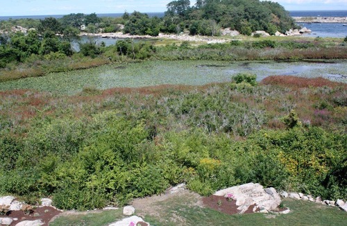 Gloucester House | Beautiful Oceanfront Home in Estate Setting Gloucester — FALL RENTAL AVAILABLE!