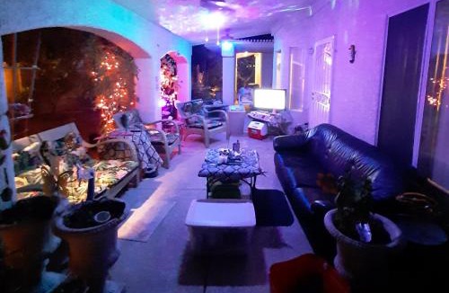 Paradise House | CATmosphere