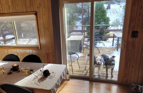 Fawnskin Cabin | Charming 2-bdrm cabin in Fawnskin, with Wifi & just a 5 minute walk to the lake