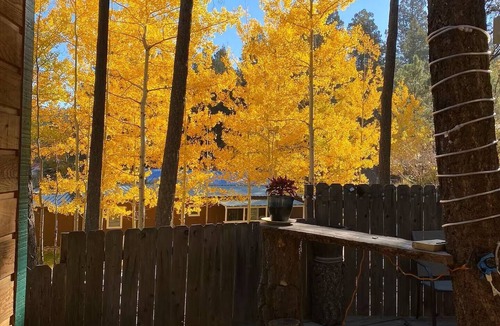 Cloudcroft Cabin | Cloudtree- Mountain Views & Wildlife Cozy 2-Bedrm/6 Person Cloudcroft Retreat