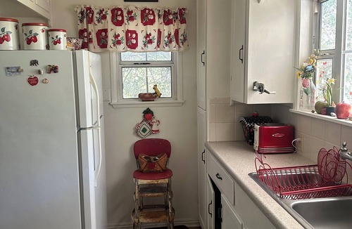 Julian Cottage | Cristine's Cozy Cottage in the Woods; Close to Town & Pet Friendly Fenced Yard!
