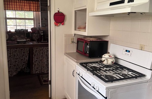 Julian Cottage | Cristine's Cozy Cottage in the Woods; Close to Town & Pet Friendly Fenced Yard!