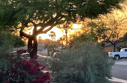 New Papago Parkway House | Desert Escape Home near Old Town in Scottsdale! 3BR 2BA BOOK4FALL!