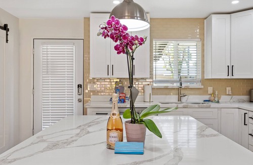 Peaceful Valley House | Disco Dino: Funktastic 5br 4ba w/Spa .6mi to Old Town!