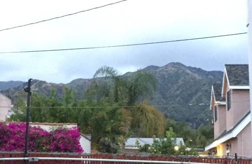 Burbank House | Dreams & Streams . Second dwelling with front yard and backyard.