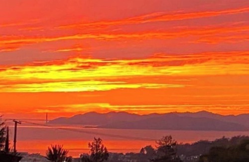 Berkeley Hills Apartment | Enjoyable an one bedroom unit in the heart of North Berkeley Hills