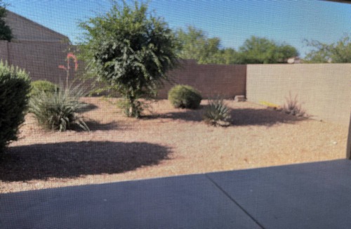 Copper Basin House | Gorgeous 4-bedroom building with AC in San Tan Valley