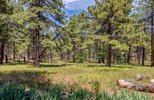 Parks House | Gorgeous & Historic 3 BR Log Cabin w/Forest Views /20 Minutes from Flagstaff/