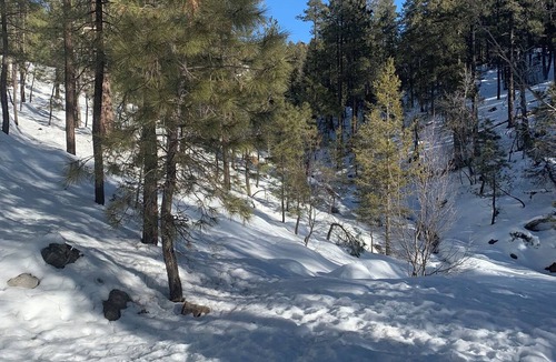 Prescott Cabin | Historic Walker Community tucked in the Prescott National Forest