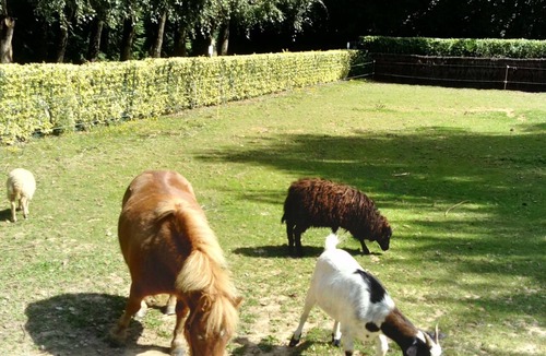 Pace Bed & Breakfast | Le Haut Montrayé