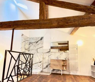Macon Apartment | LE LOFT, 85m2, Hyper-centre