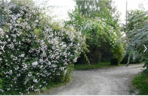 Blacqueville Bed & Breakfast | Le Neufbosc