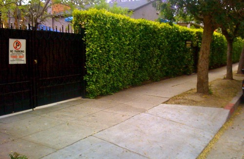 Hollywood House | LOCATION! LOCATION! House near Hollywood Walk of Fame & tourist attractions!