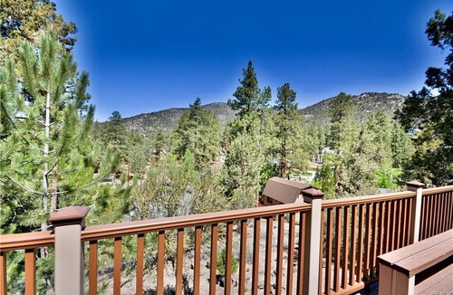 Whispering Forest House | Lookout Mountain - FREE Bike/Kayak Rental! 2BR/1BA/WiFi/Roku/Netflix/Forest Views
