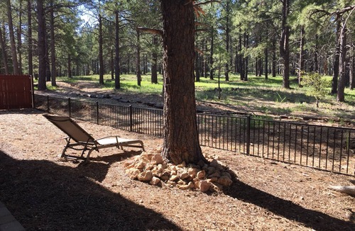 Flagstaff House | Luxury in the Pines, 5 mins to NAU, 10 mins to downtown, Dog with approval