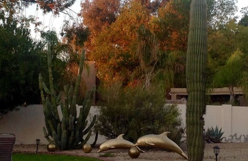 Scottsdale Foothills House | LUXURY RESORT FABULOUS SCOTTSDALE LOCATION! PRIVATE 1 ACRE OASIS ! ONE of a KIND