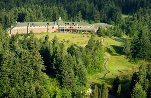 Stevenson Cabin | Luxury Tree House into the Heart of Washington