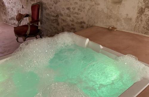 Saint-Martin-d'Ardeche Villa | Mas provençal d'exception avec spa - terrasse 130 m2 - parking privé et plage à pied - Départ des Gorges de l'Ardèche