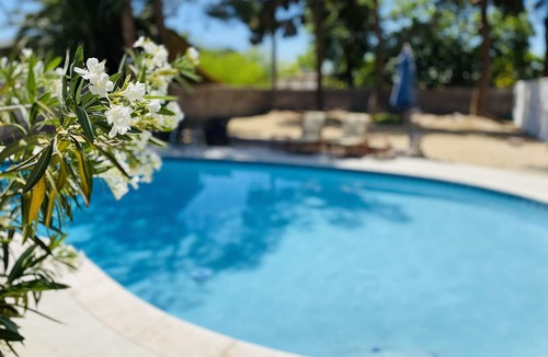 Pinto Palomino House | Modern Ranch 7 Bedroom House close to strip
