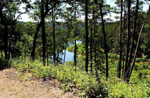 Octavia Apartment | Northern Broken Bow Lake Cabin