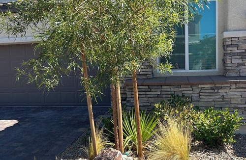 Las Vegas House | Northwest Private Casita - new build, one mile from shopping