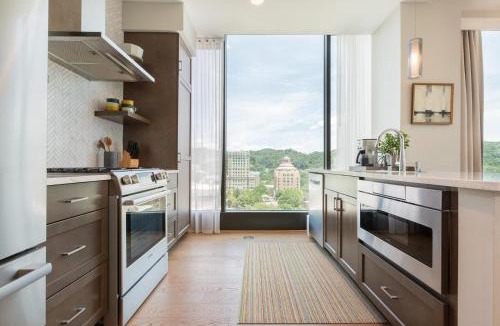 Downtown Asheville House | Panoramic Pack Square | Arras Vacation Rentals