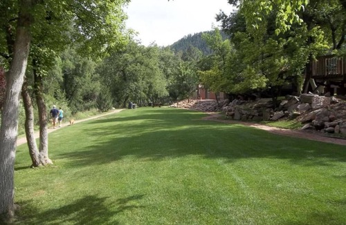 Kohls Ranch Cabin | Payson | Family Nature Retreat | Pool + Hot Tub | 2BR
